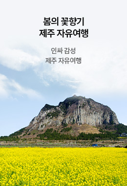 봄의 꽃향기 제주 자유여행