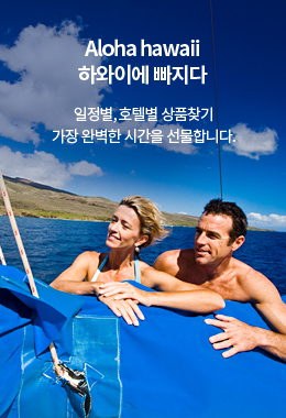 하와이에 빠지다