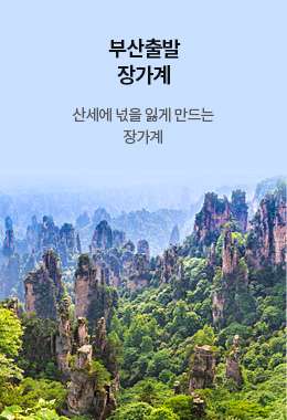 부산출발 장가계