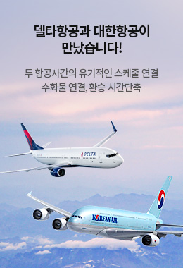 델타항공 대한항공