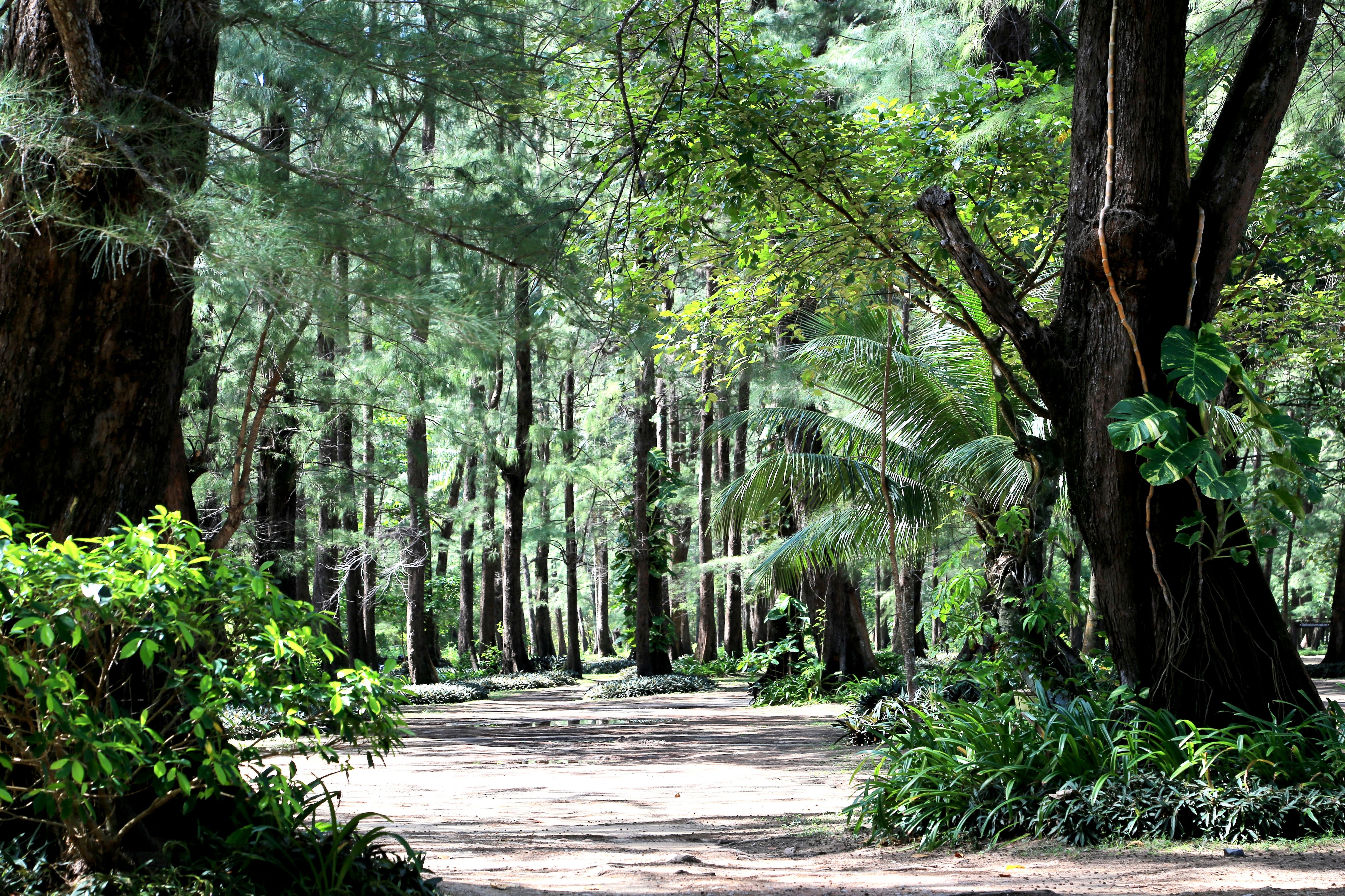 씨리낫 국립공원