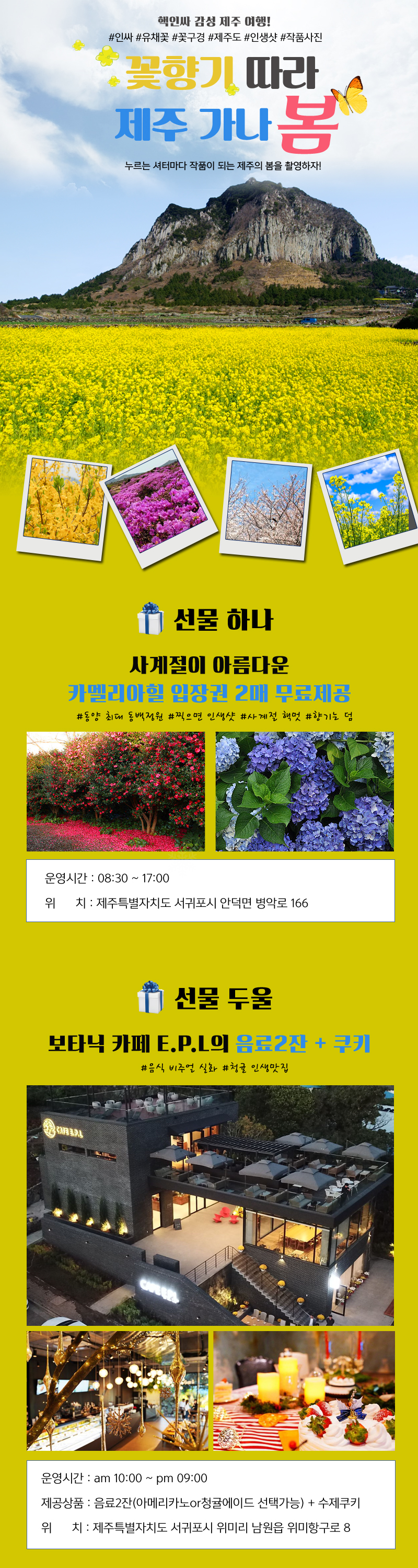 겨울감성 제주여행! 인생샷을 선물하다