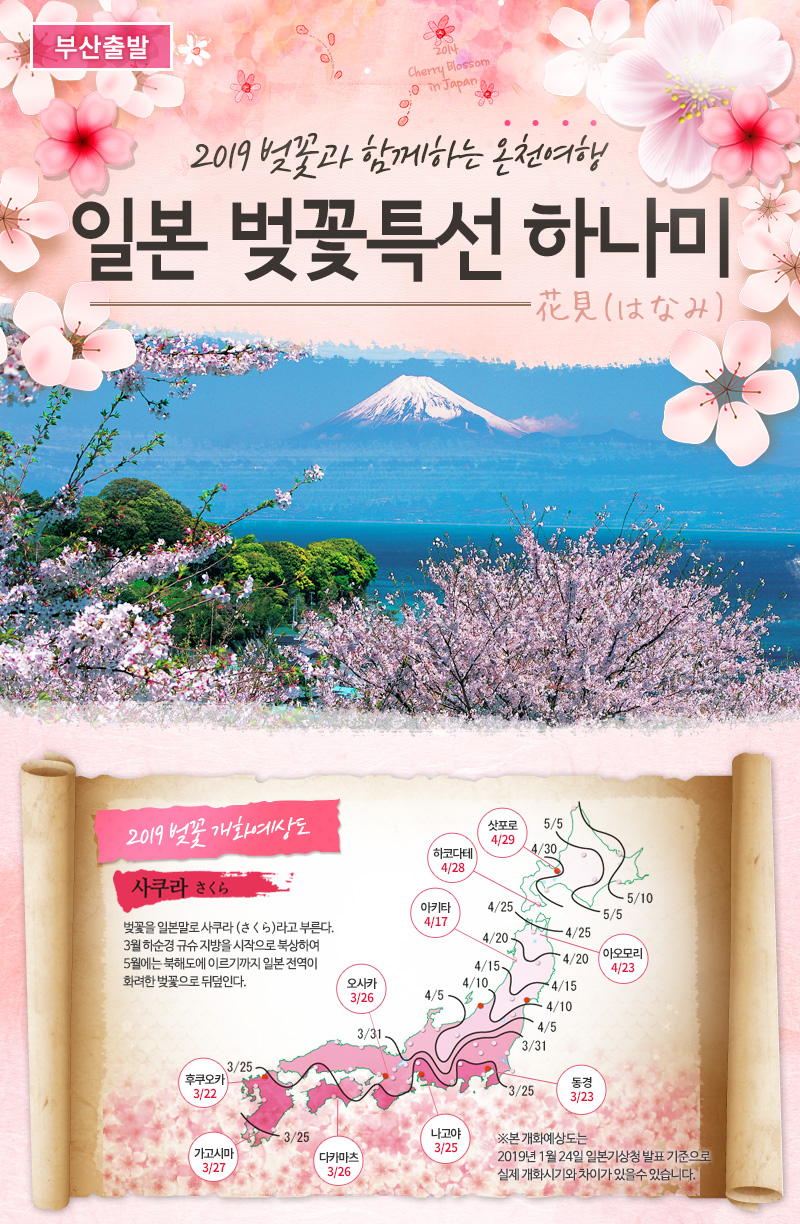 부산출발 일본 벚꽃