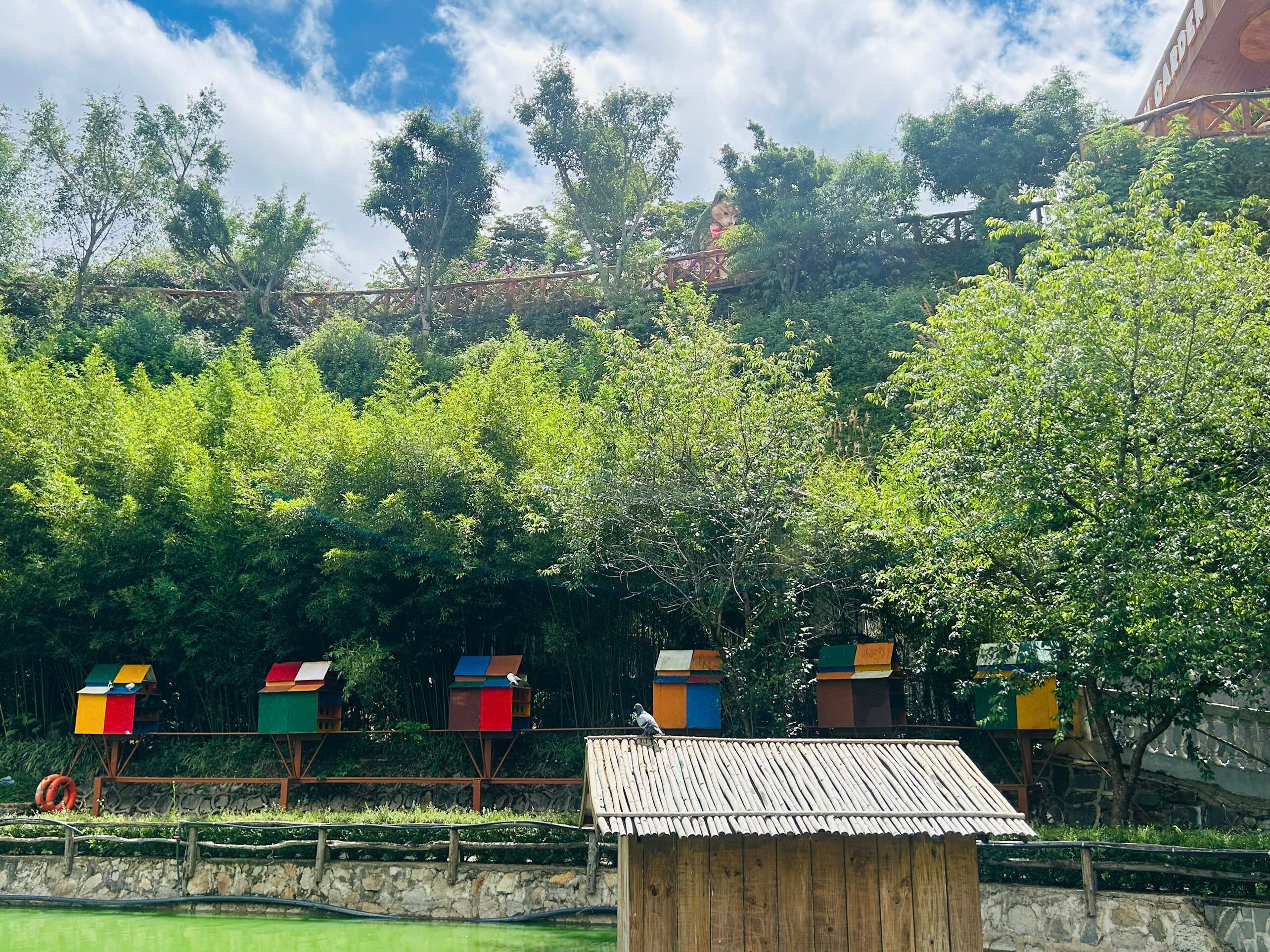 영상