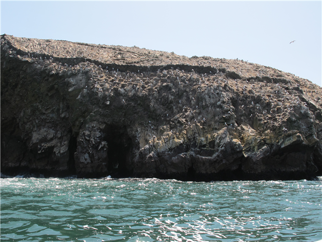 image4