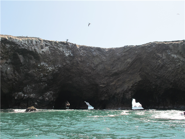 image1