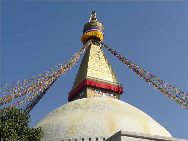 image4