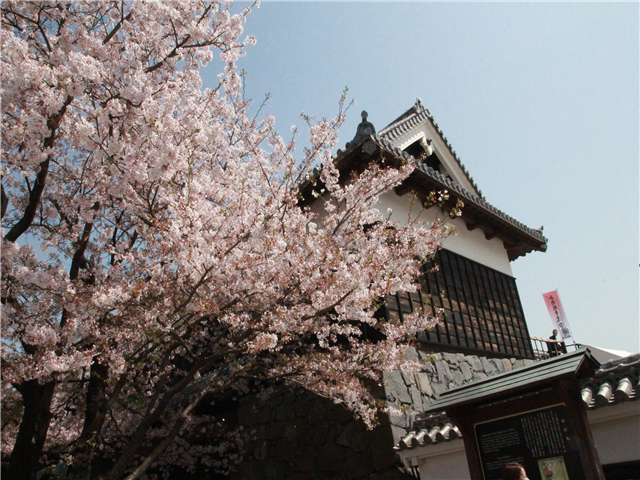 담당자추천 [베스트셀러] 후쿠오카/유후인/벳부/아소/구마모토 4일 (시내호텔2박+온천호텔1박+카이세키식)