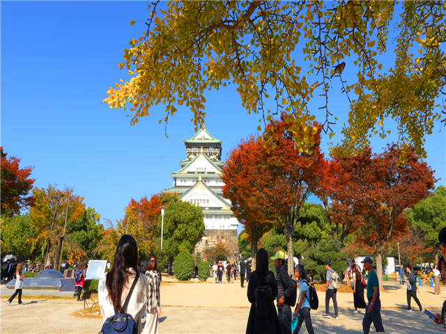 [간사이나들이] 오사카/교토/아라시야마/나라/고베/소라니와 온천 4일(4대특식/전일)