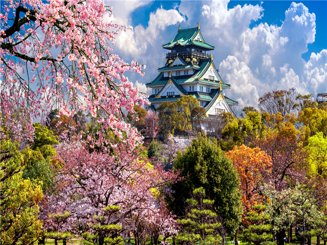 홈쇼핑 HIT상품 [청주출발][여행의신세계][하루는내맘대로] 오사카/교토/나라 3일 (1일자유/3대특식/USJ선택가능)