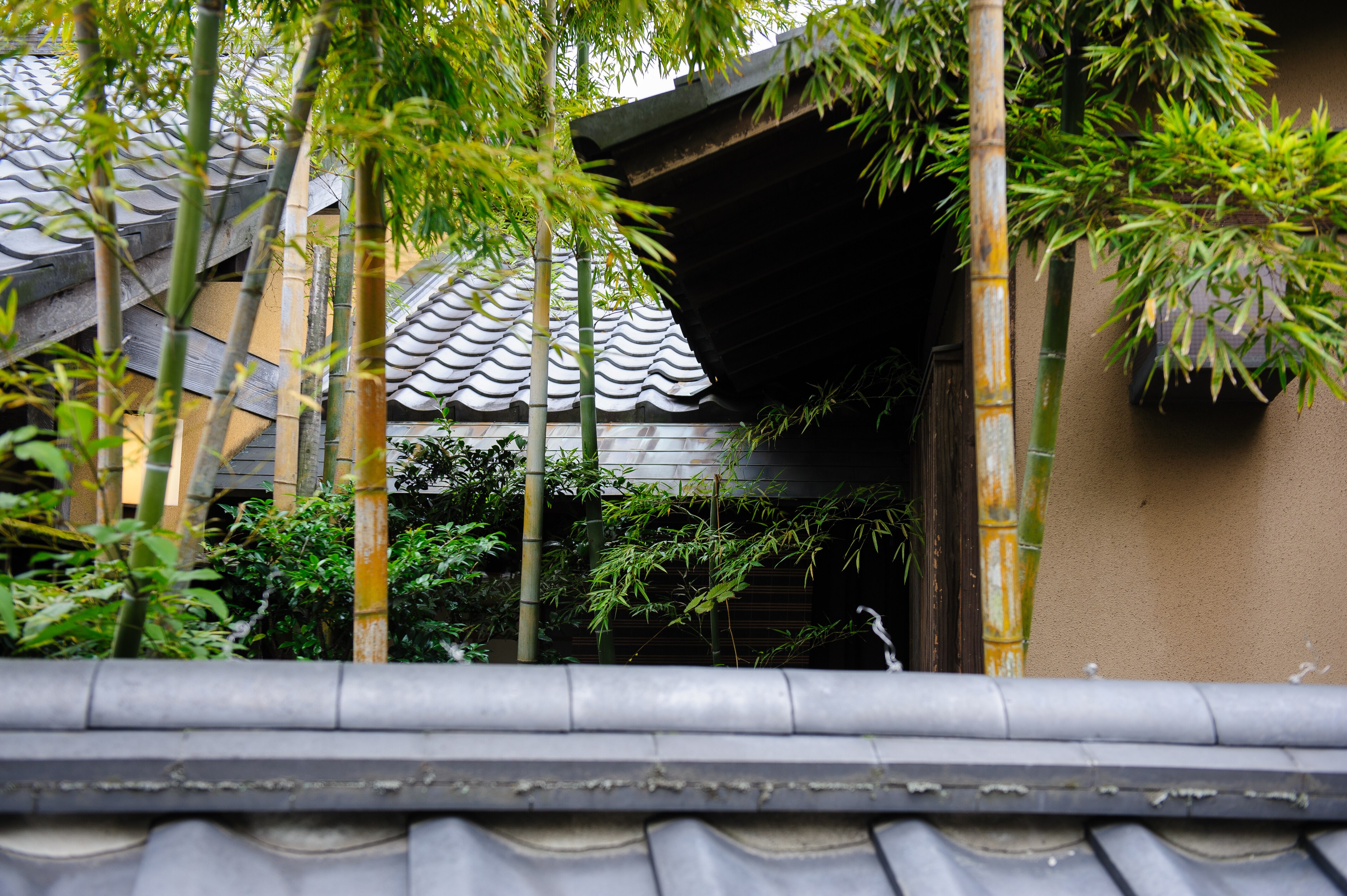 [26설연휴][매력소도시] 사가/후쿠오카/유후인/벳부 4일 (온천호텔 1박/핫플탐방/카이세키) 이미지