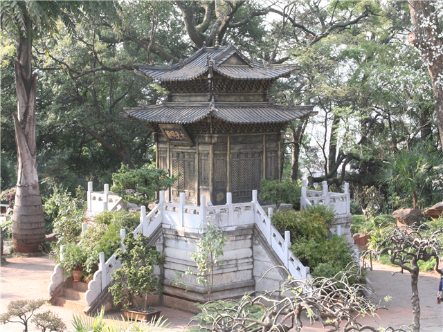 image1