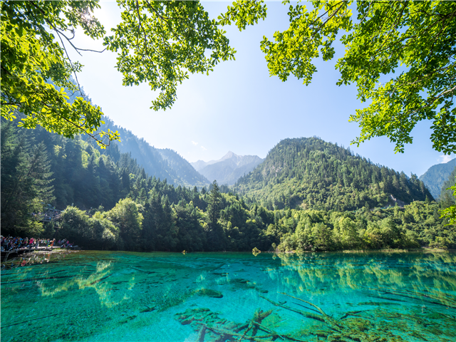 [사천지역 판매1위상품] 성도 모니구 구채구 팬더테마파크 6일