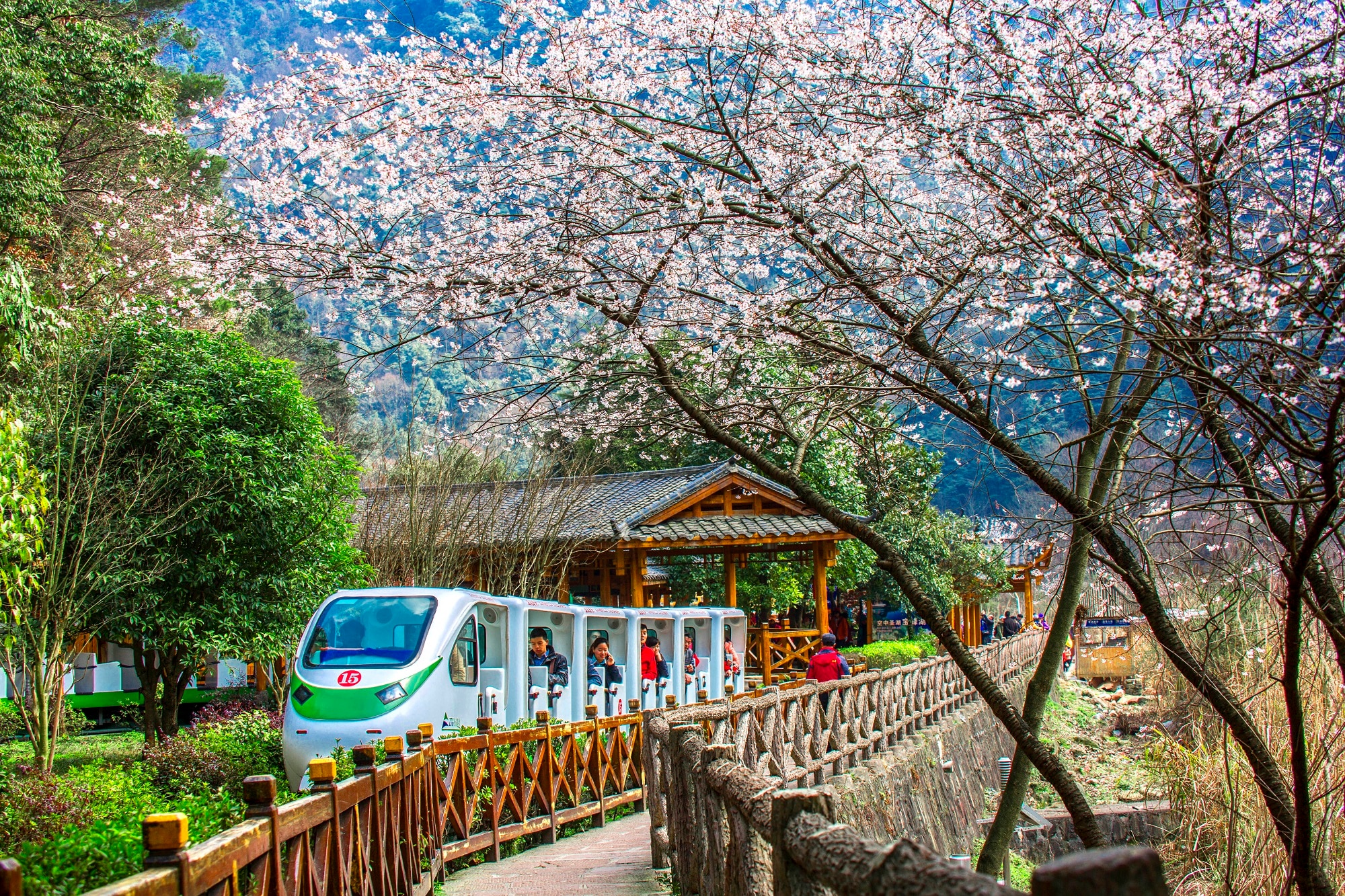 [노쇼핑/노옵션/노팁/5성호텔/풀옵션]서안+장가계 원가계 5일