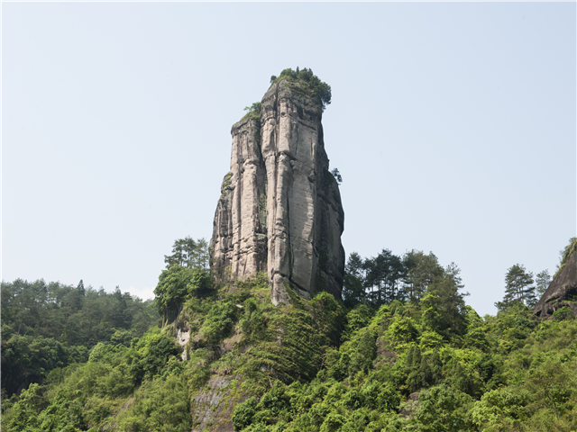 image1