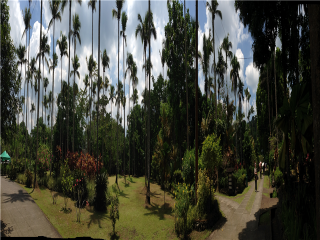 image4