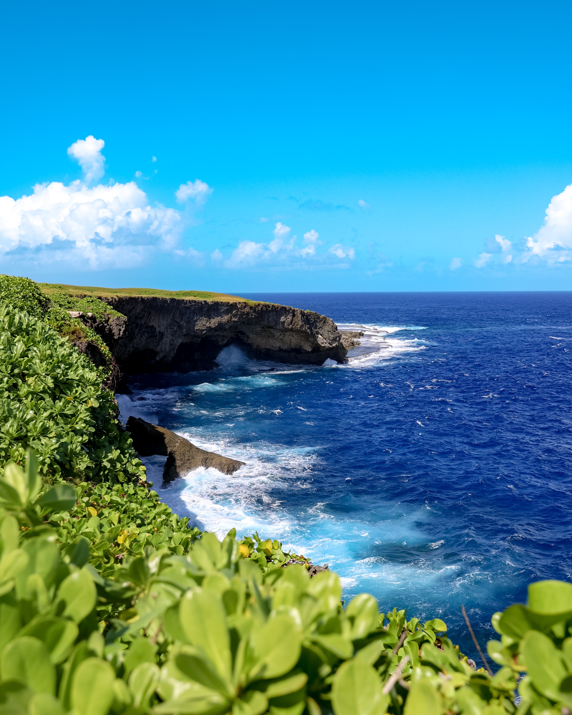 [설연휴] 사이판 인기 호텔숙박 티웨이항공 3박5일 [저녁출발/비행5시간이내휴양지]  이미지