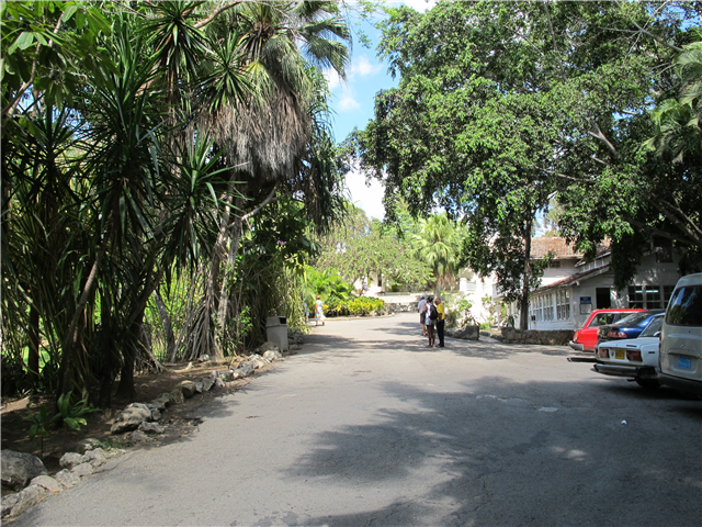 image3
