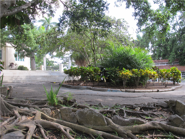 image4