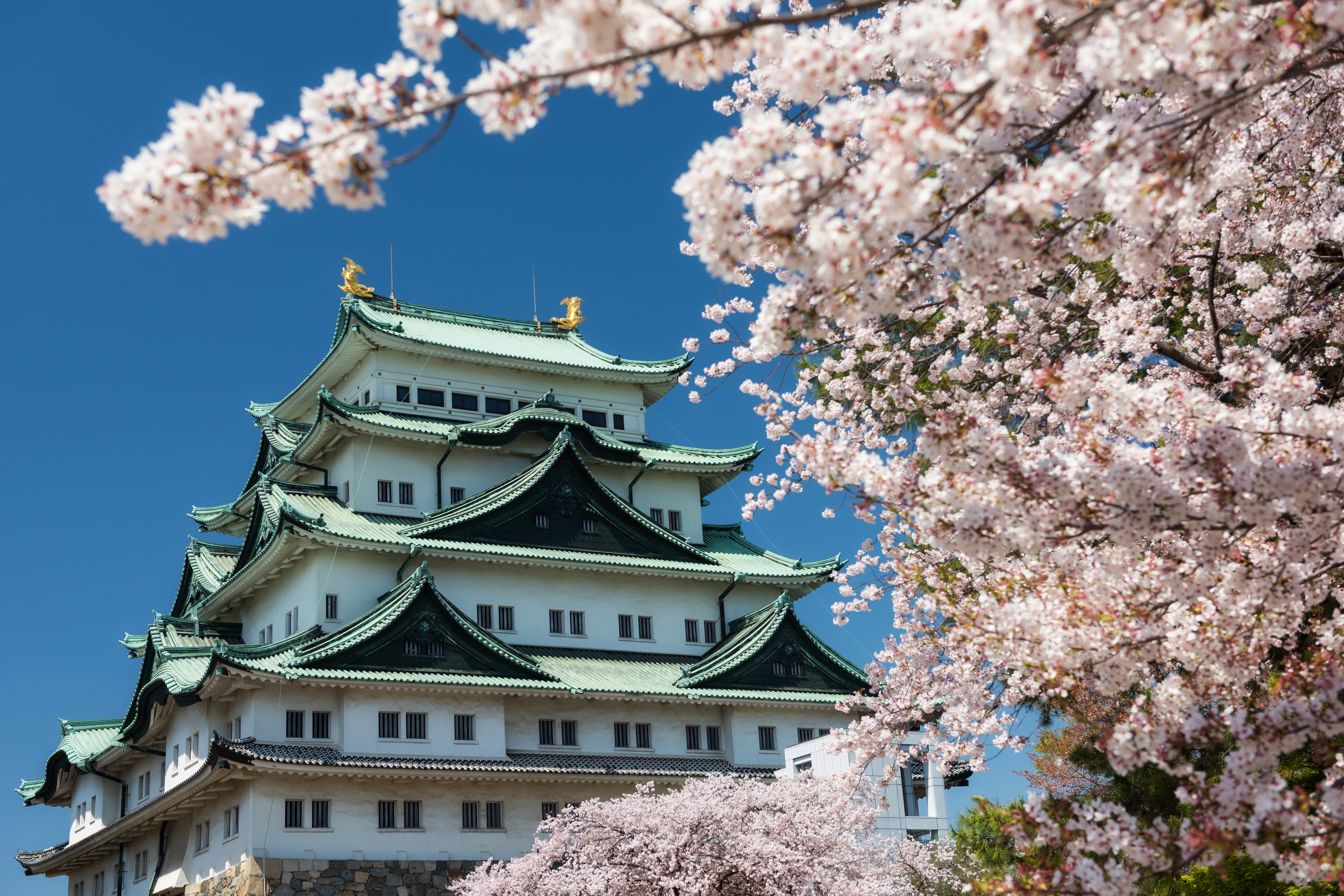 [오후출발/호쿠리쿠+나고야 春여행]다카야마/신호타카/나고야 4일(온천호텔1박/일루미네이션)