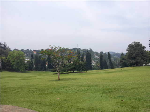 image4