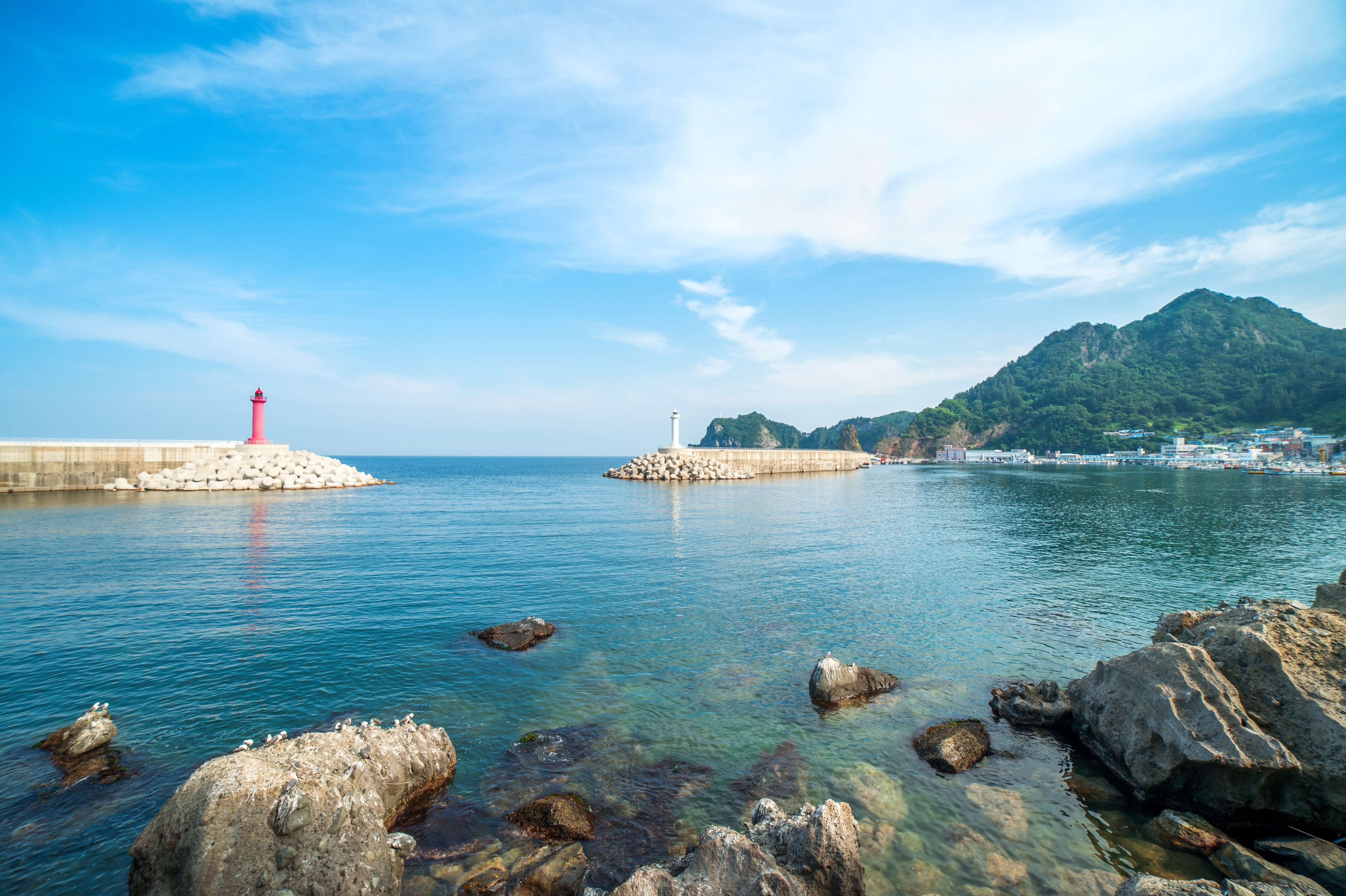 [출발확정][강릉항] 울릉도 독도 3일 <쾌속선/모텔급/육로A,B코스/관음도/카페올라> 이미지