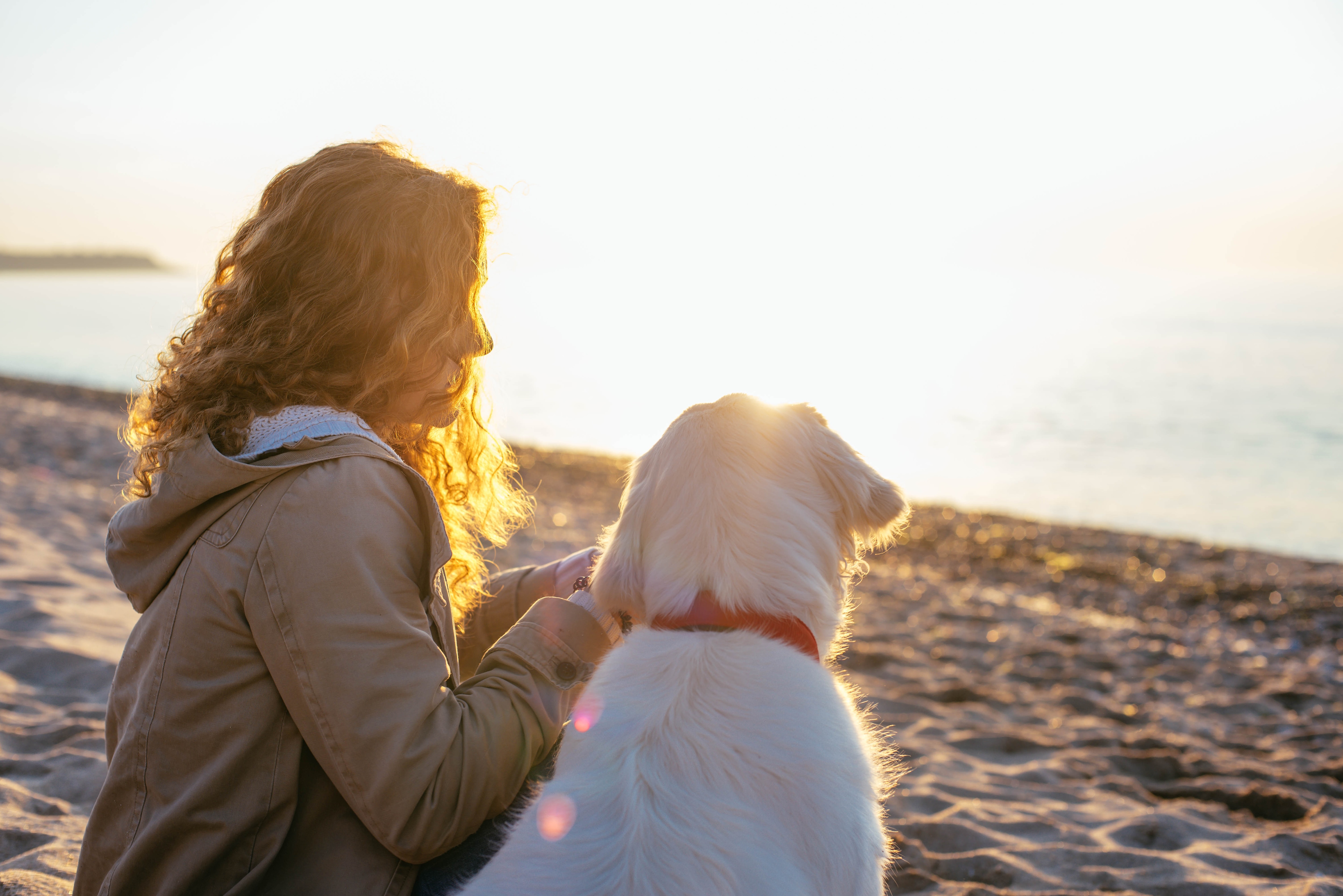 사랑하는 댕댕이와 제주, 하늘 VS 바다