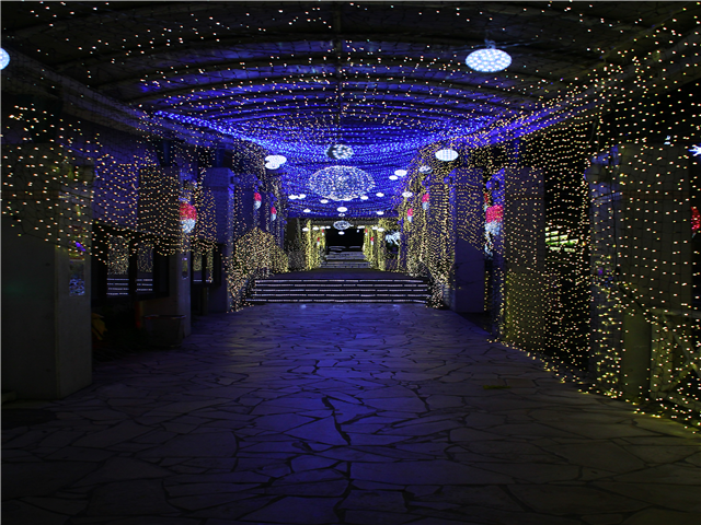 image4