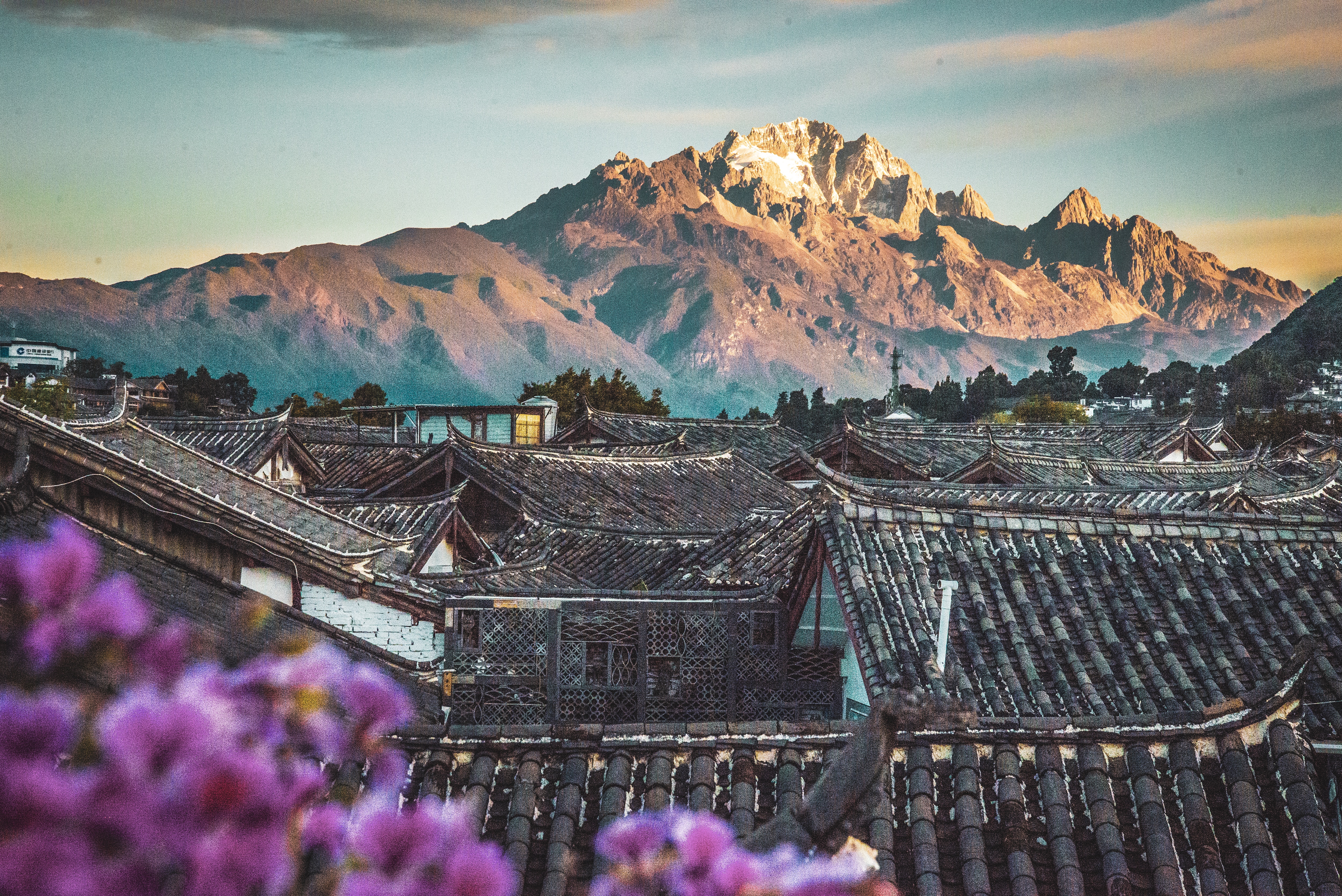 차마고도의 역사 위에서 [운남성]