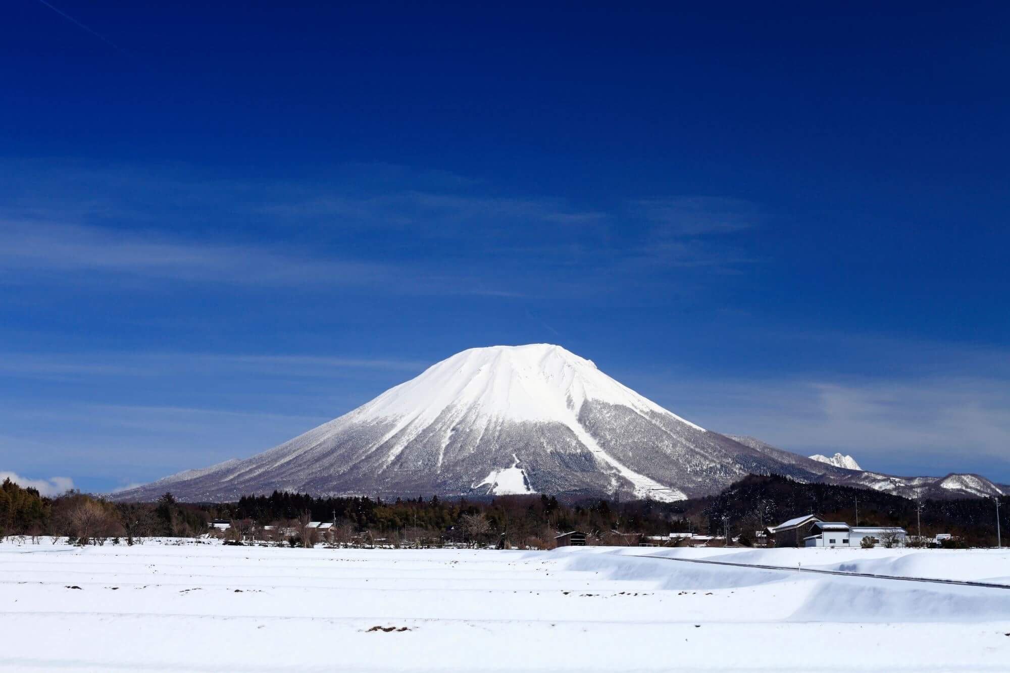[온천여행] 요나고 에어텔 3/4일(에어서울직항/요나고역1분) 이미지