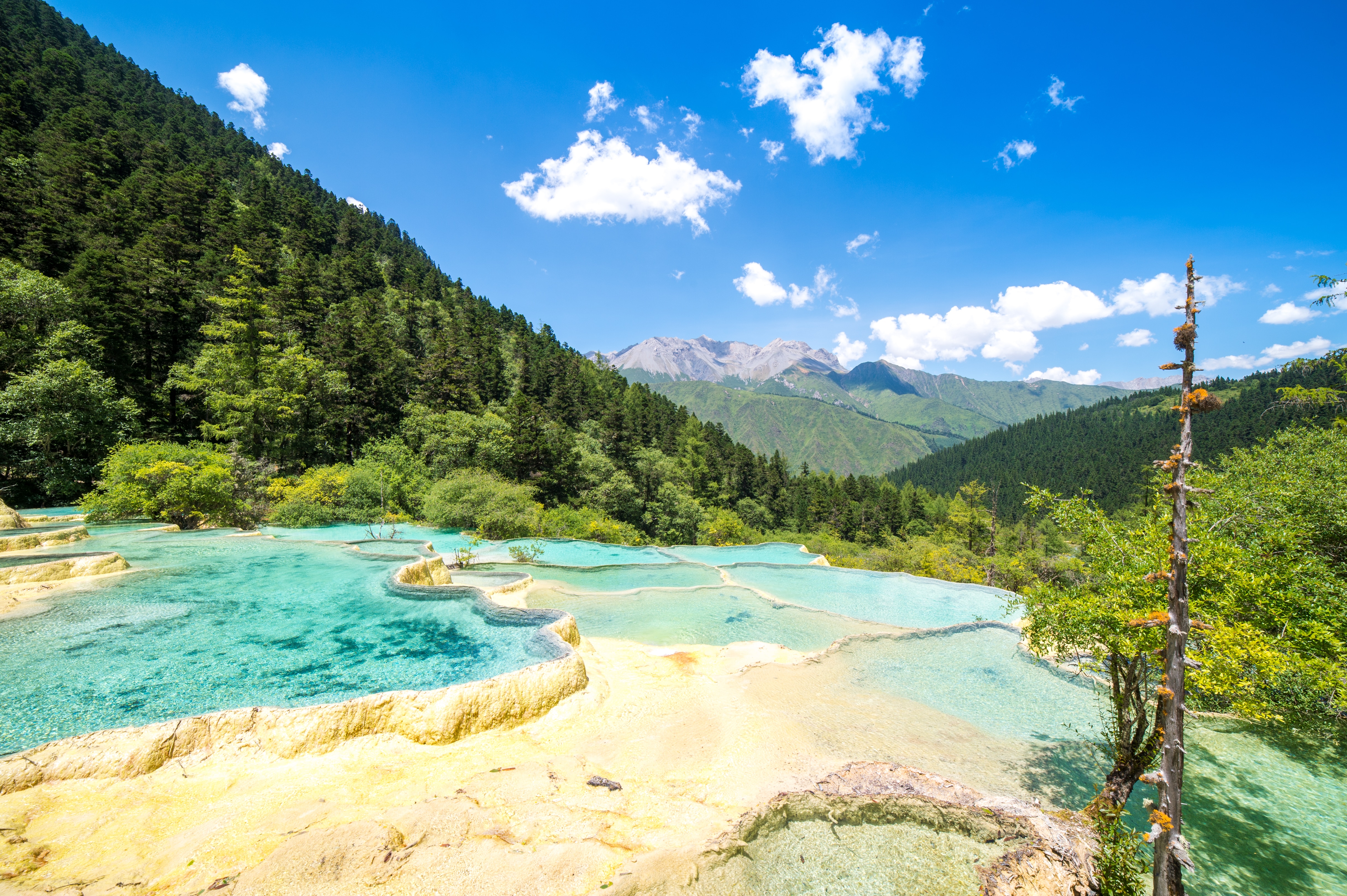 [시그니처블랙] 성도 구채구 황룡 낙산대불 5/6일  이미지