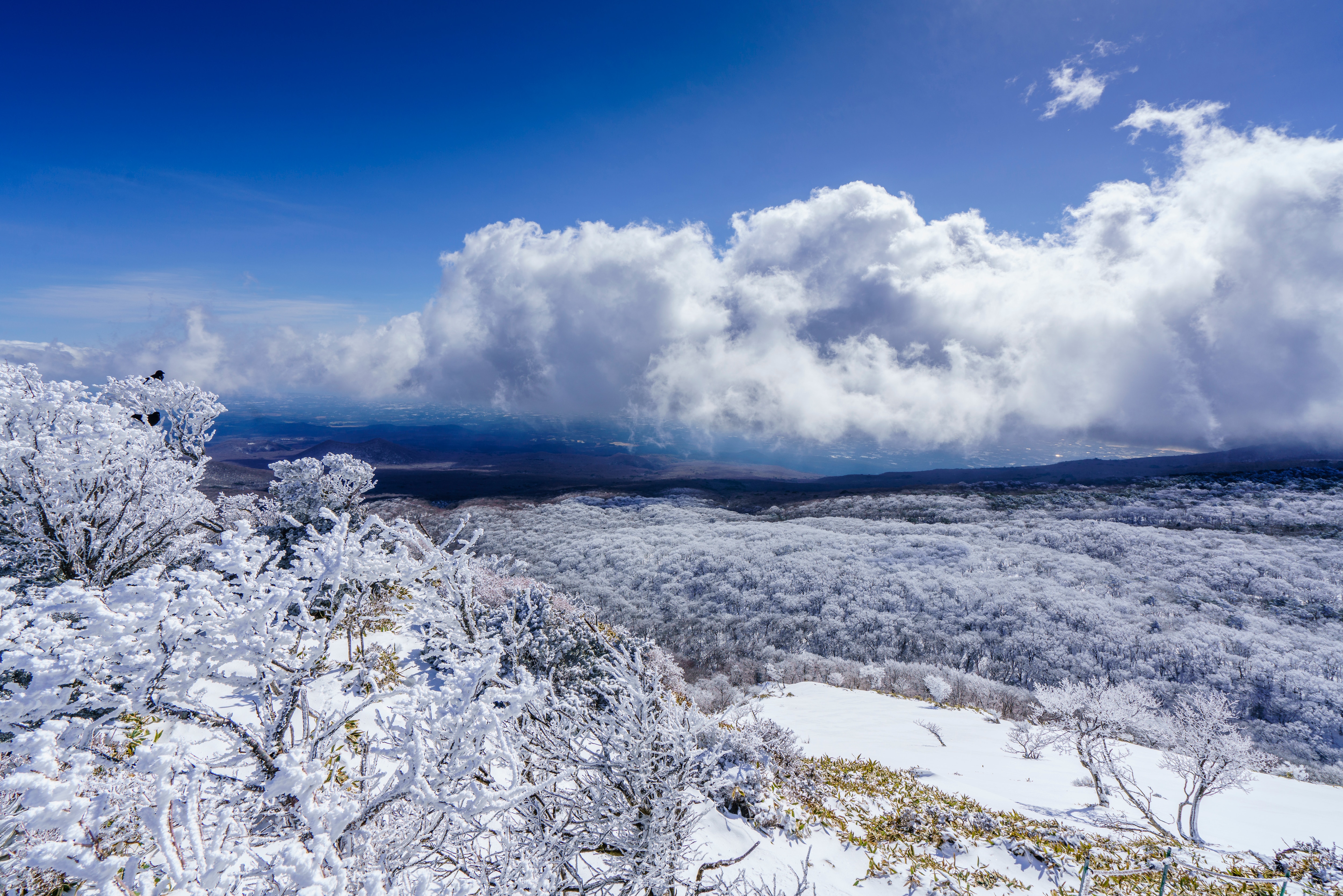 설레이는 계절이 다가온다, 겨울 제주