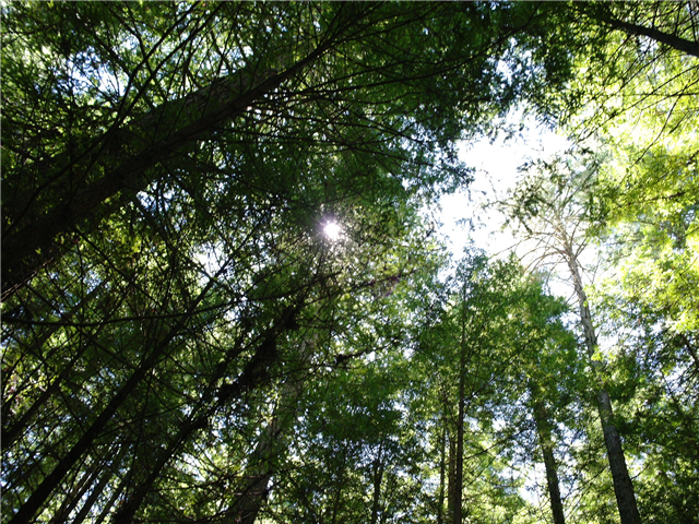 image4