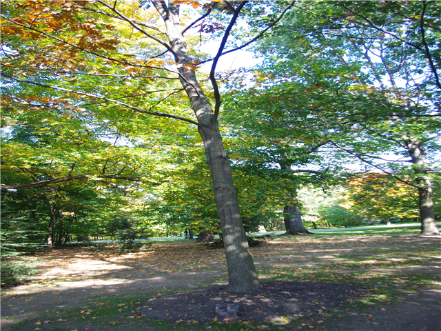 image4