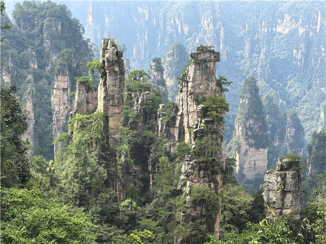 [출발확정][럭셔리 장가계][노쇼핑/노옵션/노팁] 장가계/원가계 6일 [칠성산+유리다리+대협곡/귀곡잔도+천문산사+유리잔도]