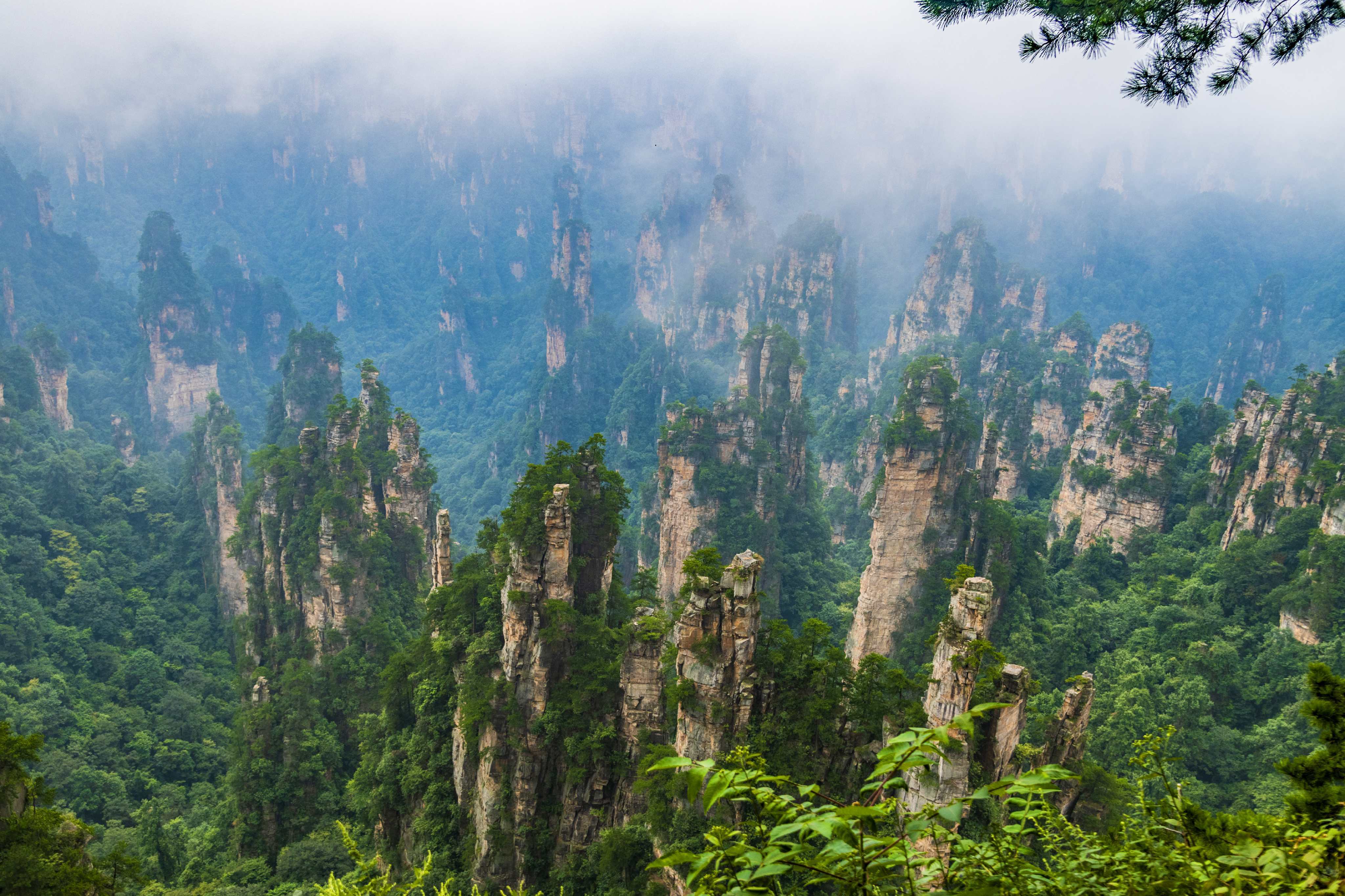 [대구출발][시그니처블랙] 장가계 패키지 4/5일 (노쇼핑/노옵션/노팁) 이미지