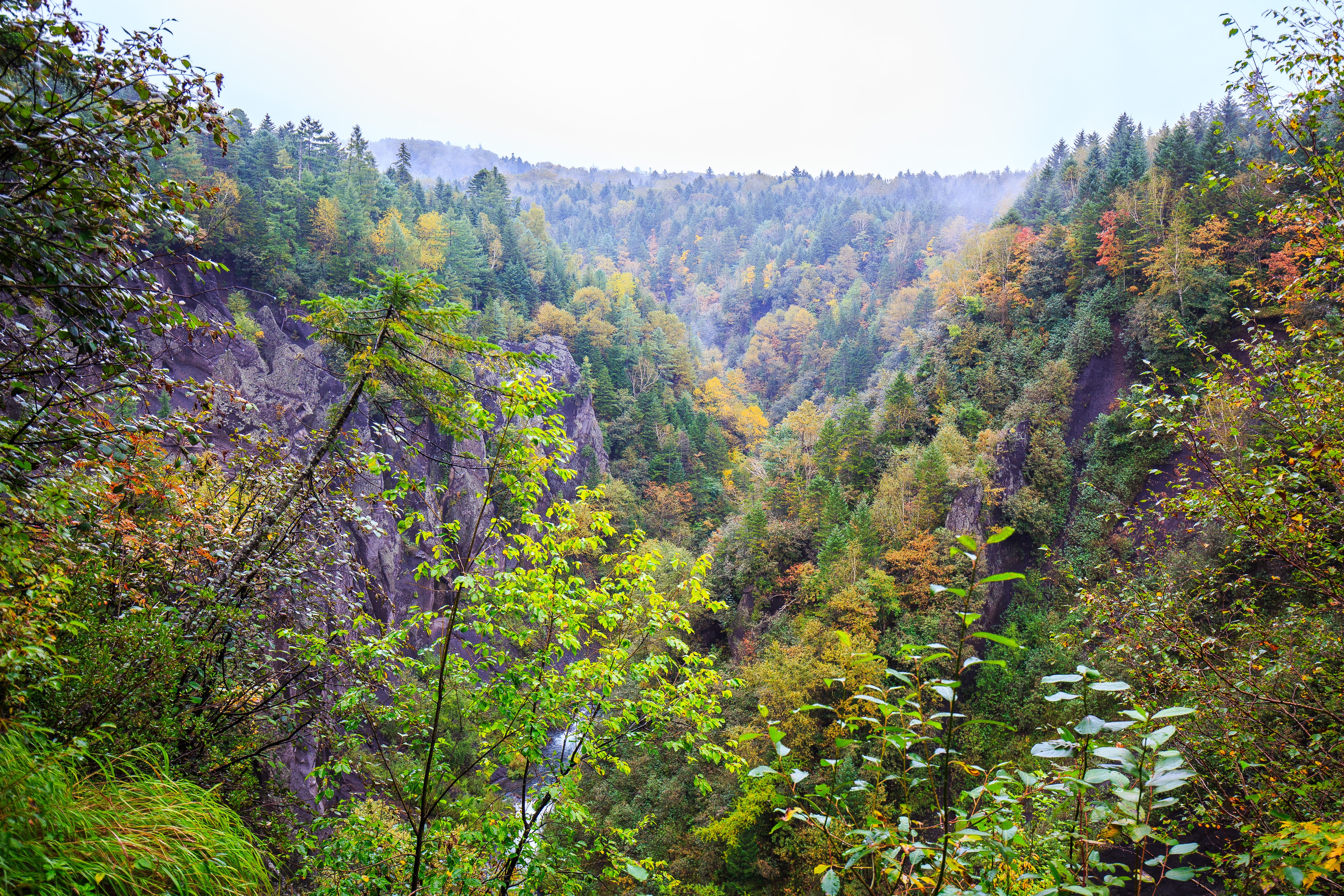 [즉시할인][백두산까지 2시간][아침출발] [고속열차이동] 심양/백두산 4일 (북파+서파)
