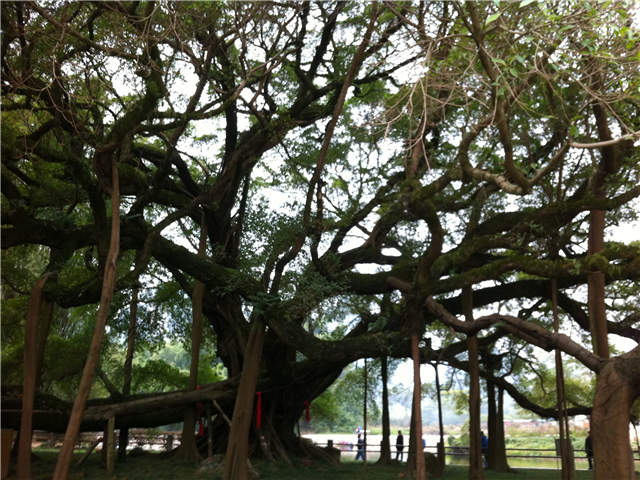image3