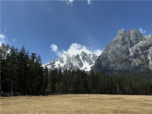 image4