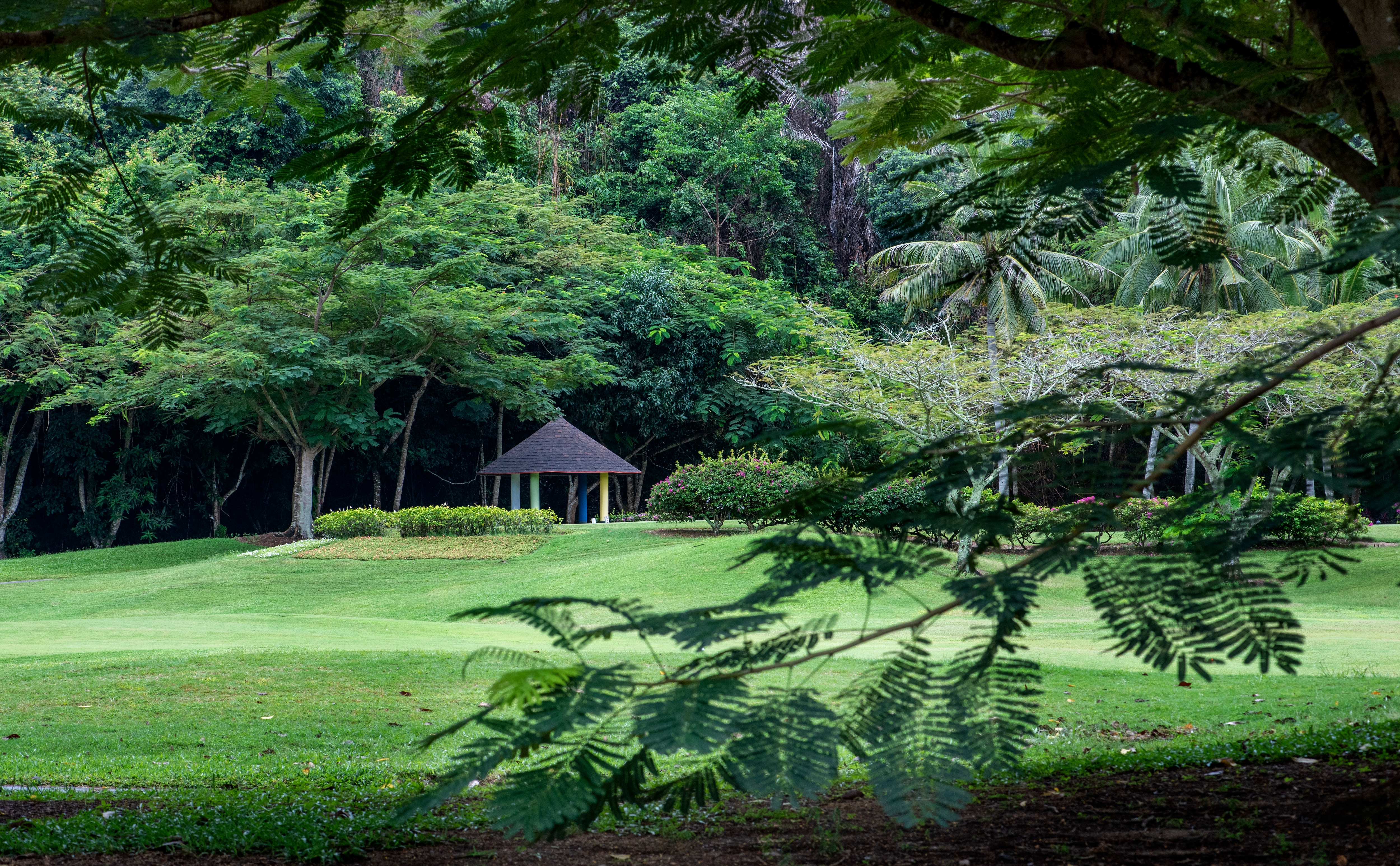 [골프텔/가람부나이CC/81홀] 코타키나발루 골프 5/6일 <넥서스리조트/호텔석식3회> 이미지