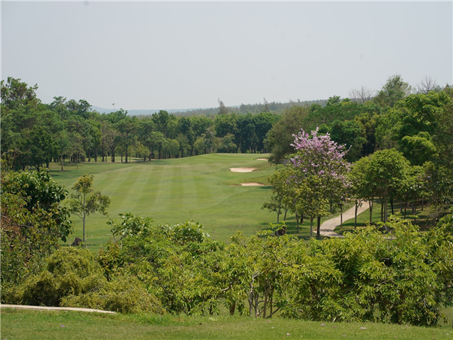 image11
