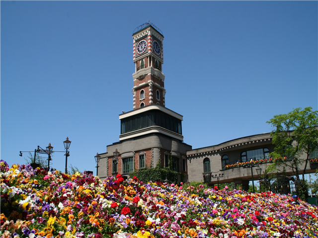 image1