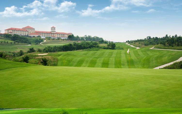 [골프텔/캐슬렉스/54홀/중석패턴] 청도 골프 3일 <캐슬렉스CC/그린피,카트비,캐디피포함/조+중식>