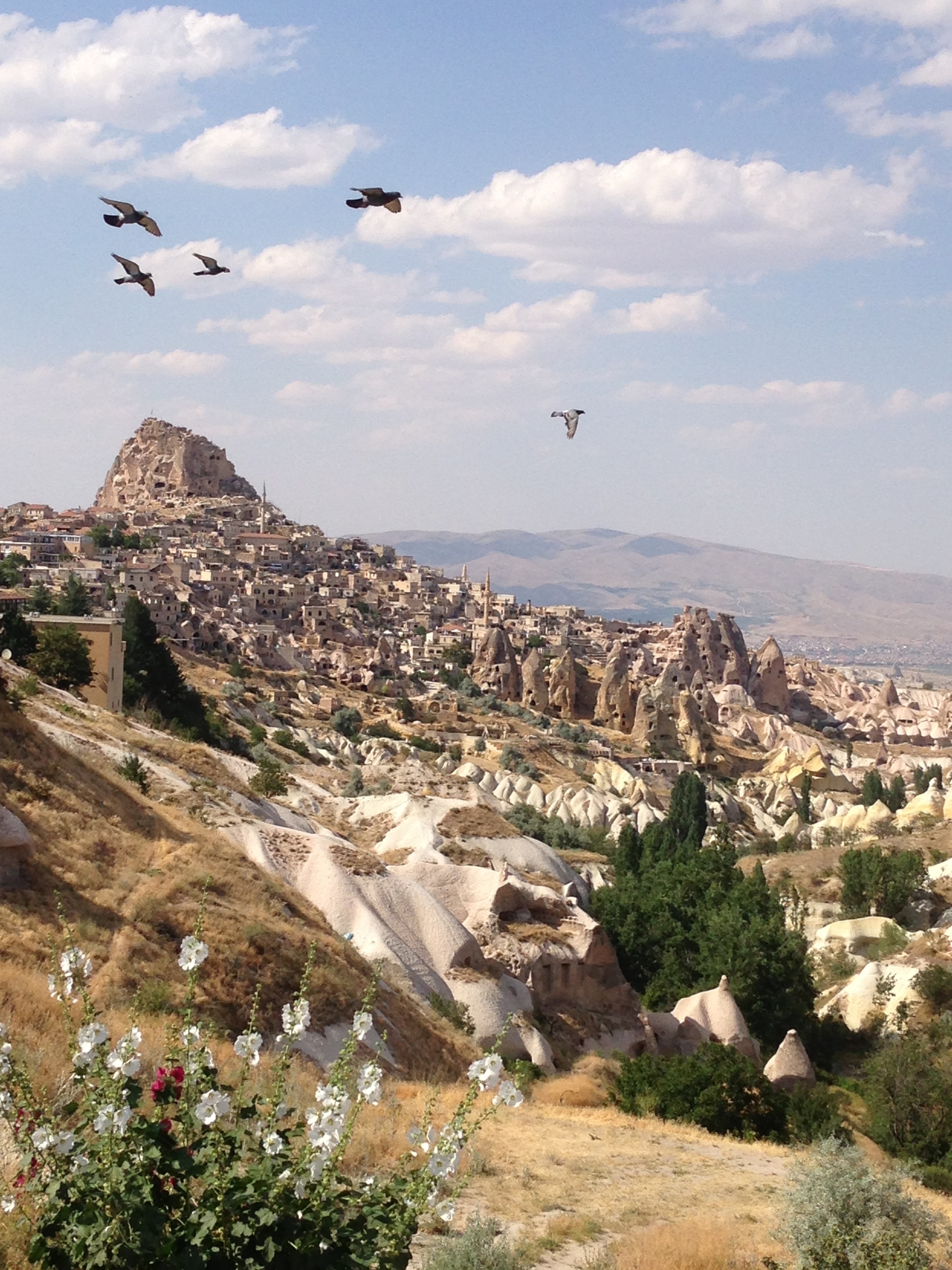 비즈니스 클래스 [하이클래스/비즈니스석 탑승] 튀르키예 일주 10일 <국내선 3회 탑승/노쇼핑/노옵션/월드체인 호텔투숙/품격 레스토랑>