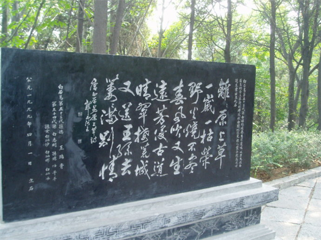 image3
