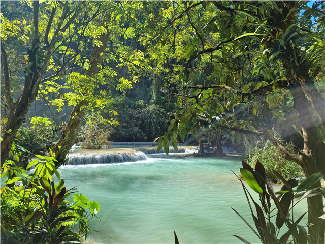 [노팁/노쇼핑] 라오스 비엔티엔/루앙프라방/방비엥 5일 (최우수가이드/4성호텔/왕복고속열차/방당과바증정)