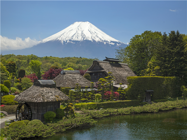 [후지산을 품은 시즈오카] 도쿄/후지산/하코네 온천 4일 (전일관광/온천호텔2박/특식제공)