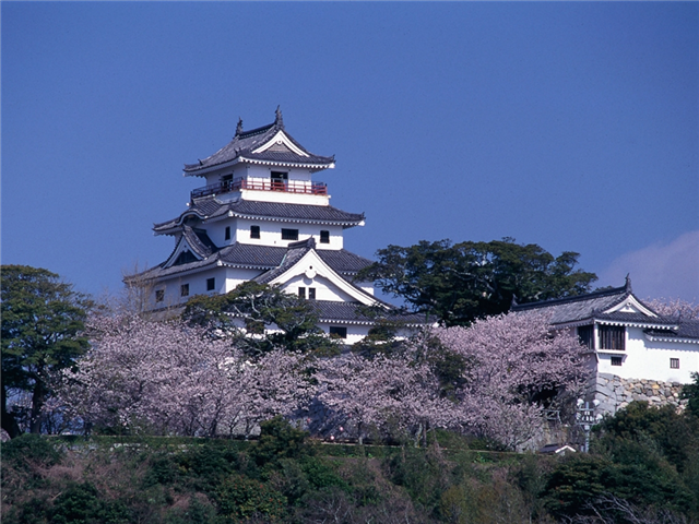 image2