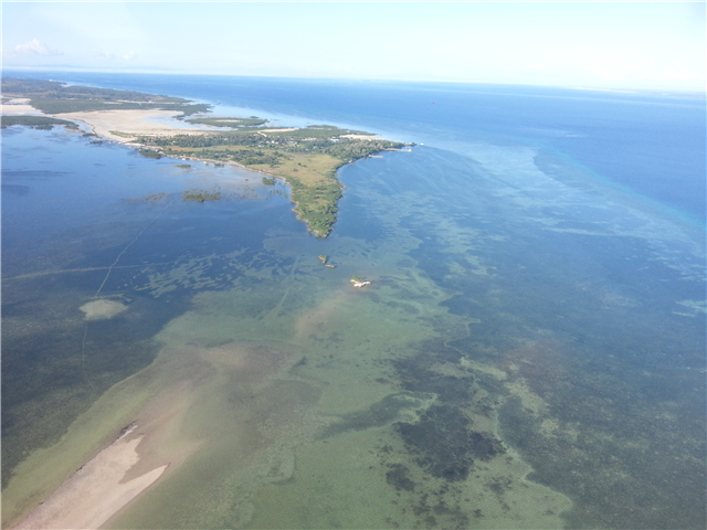 image1