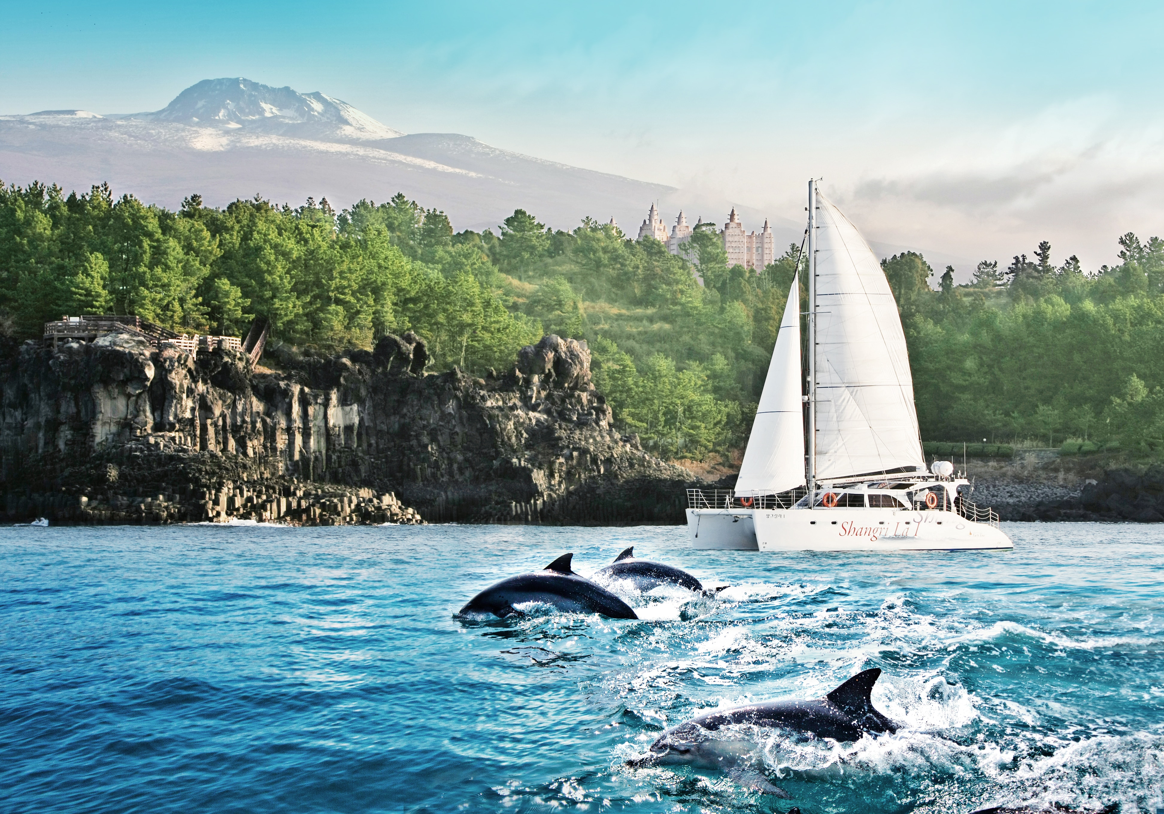 [출발확정][푸릉바당 제주미식회] 제주도 3일 <식도락 전일정특식/럭셔리요트/우도/아시아나연합> 이미지